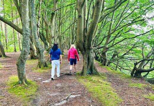 24-07-01 11-49-23 0062